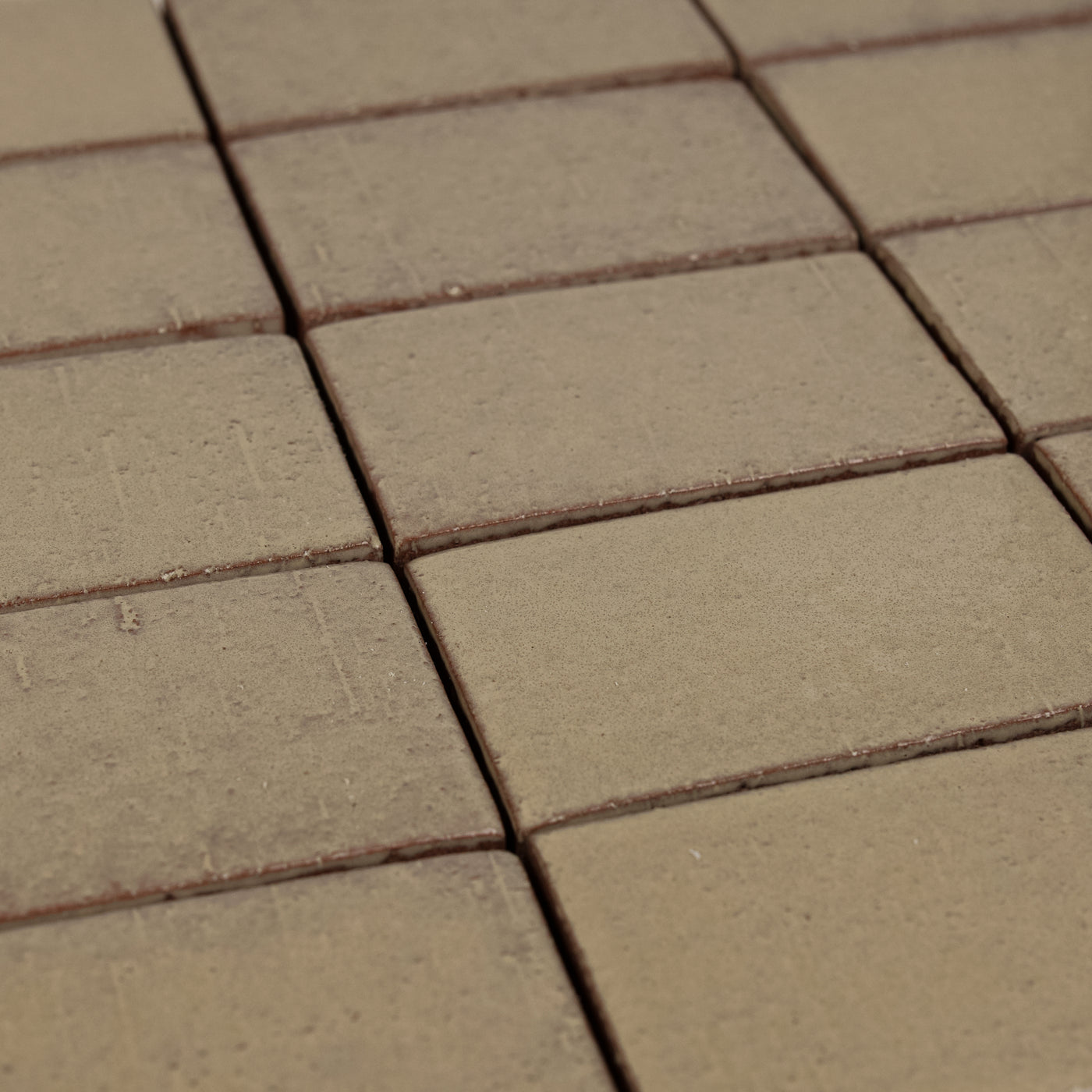 Cascadia Alder Ceramic Tile