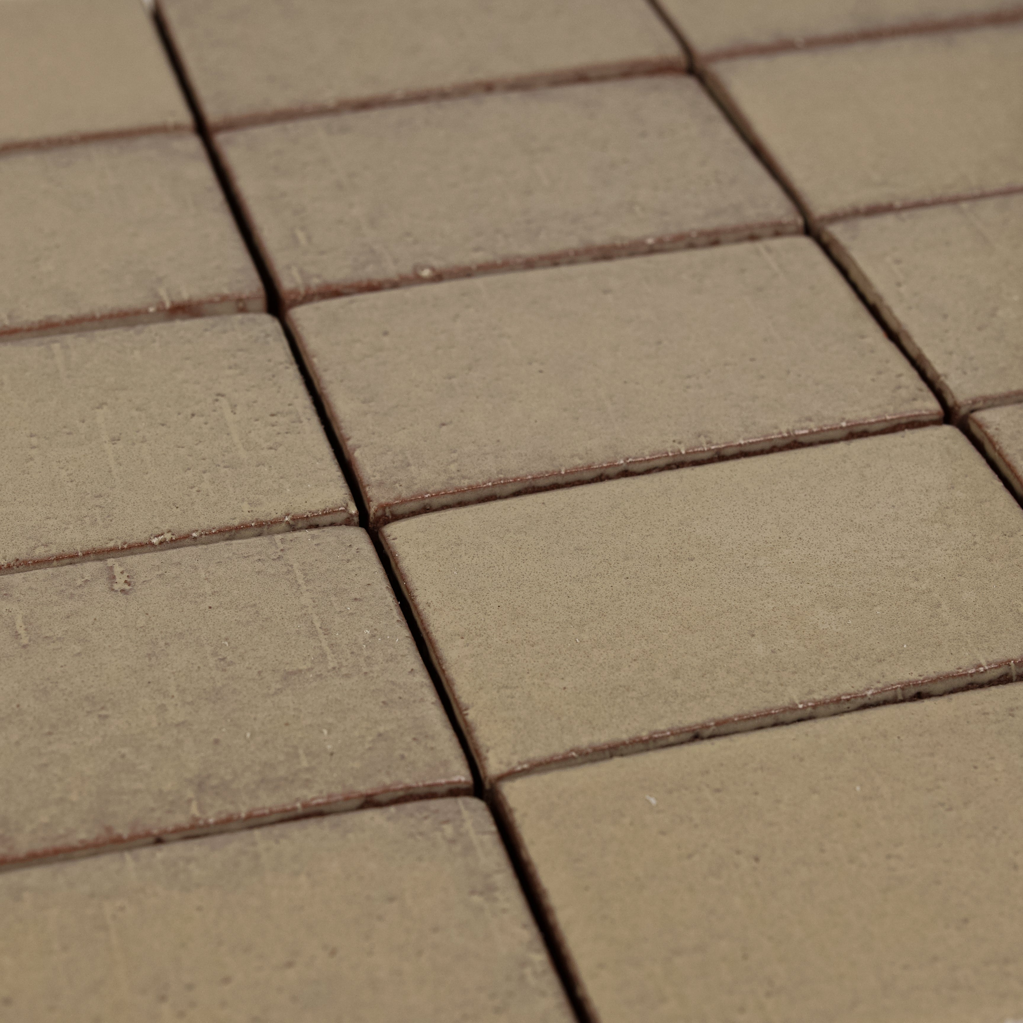 Cascadia Alder Ceramic Tile