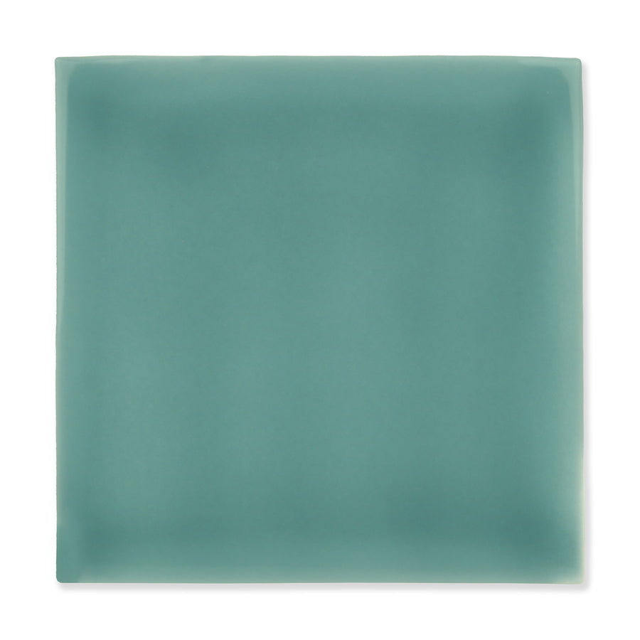 Arcus Ceramic Tile Shown In Aquarium