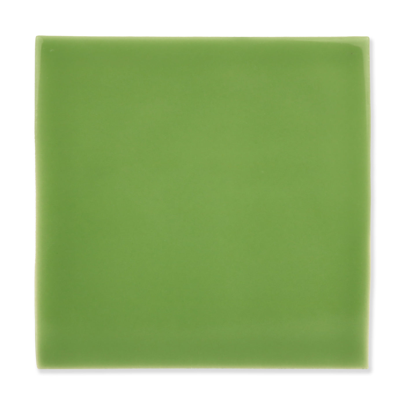 Arcus Ceramic Tile Shown In Spruce