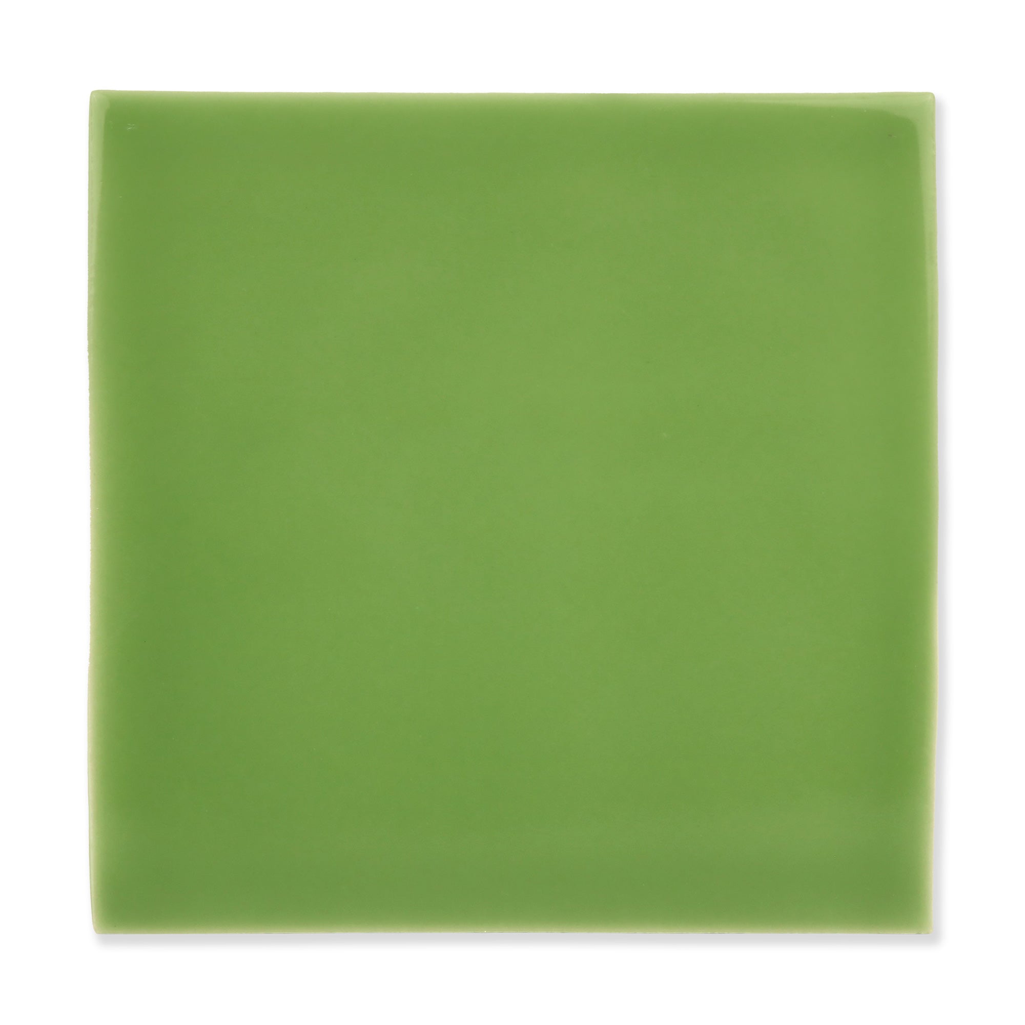 Arcus Ceramic Tile Shown In Spruce