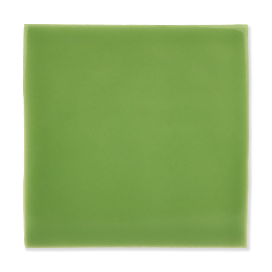 Arcus Ceramic Tile Shown In Spruce