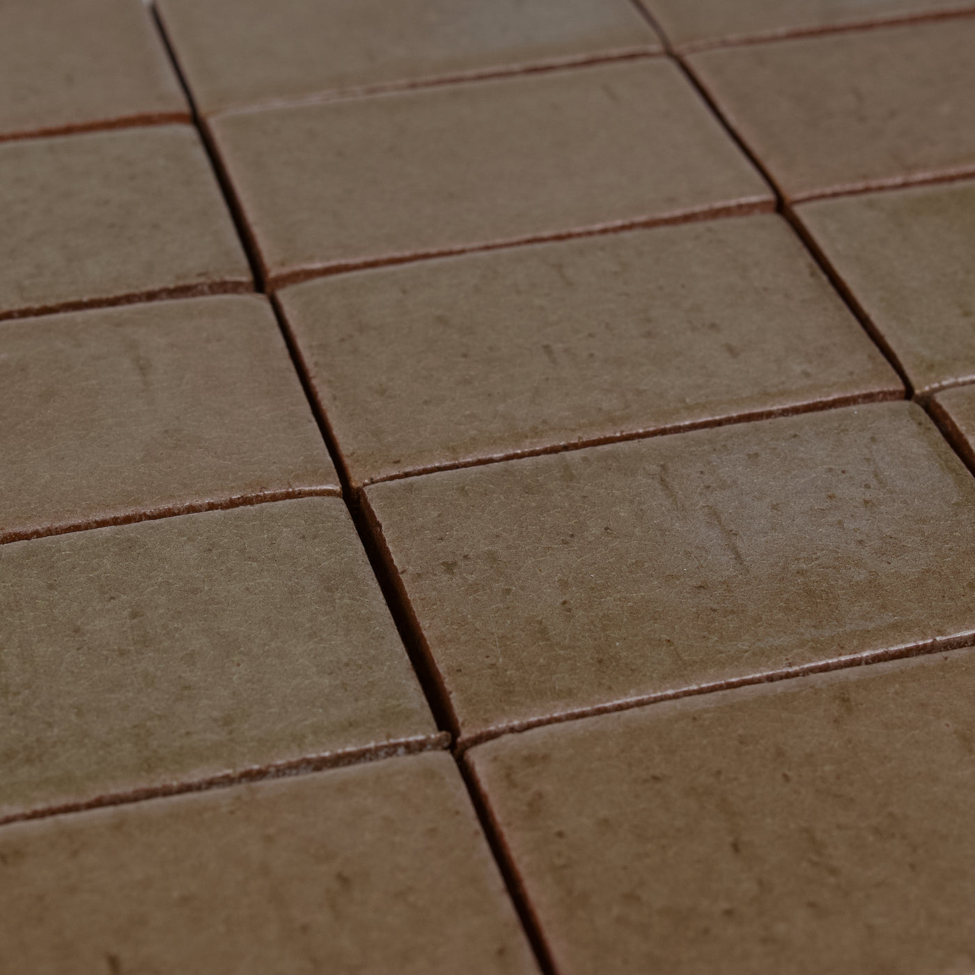 Cascadia Bay Leaf Ceramic Tile