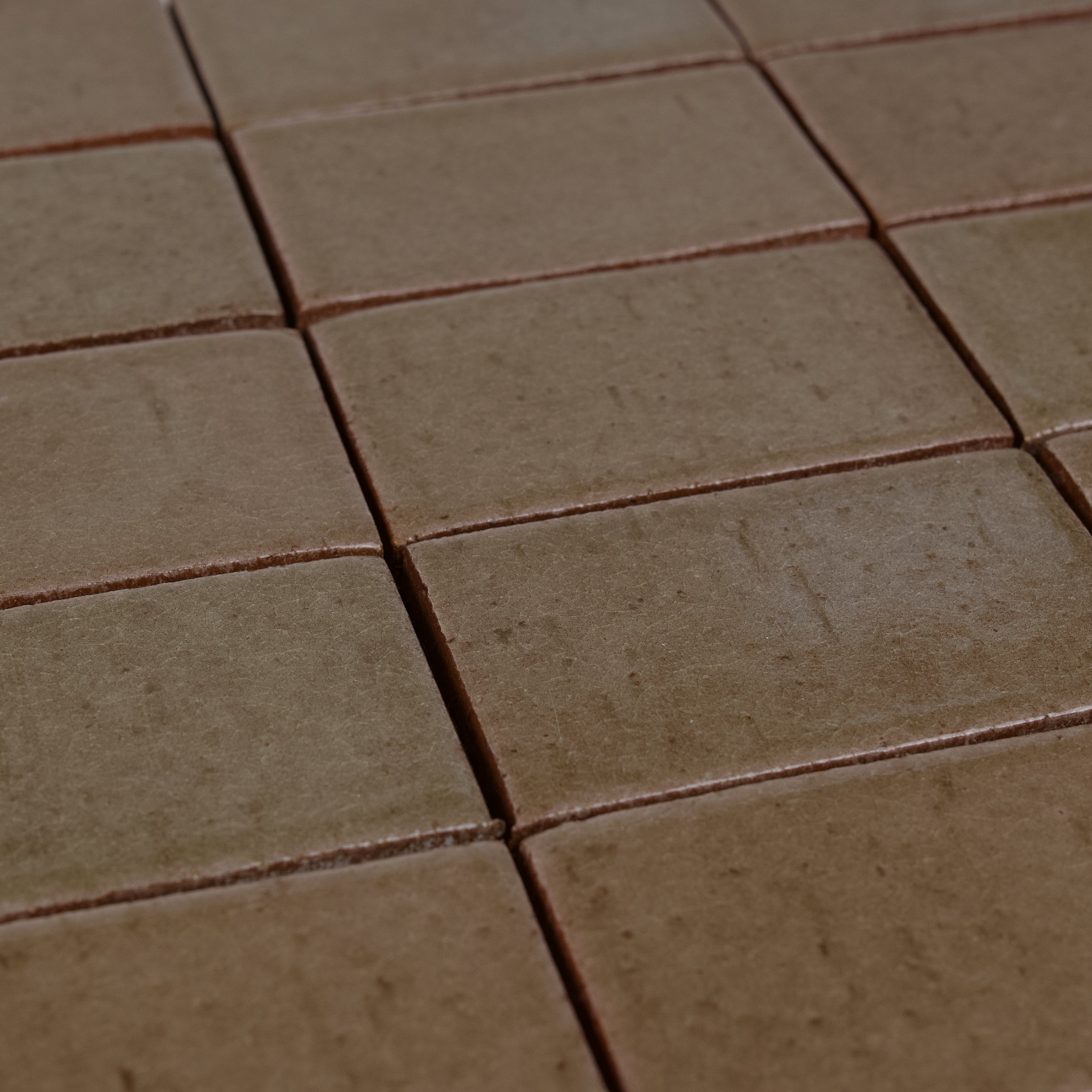 Cascadia Bay Leaf Ceramic Tile