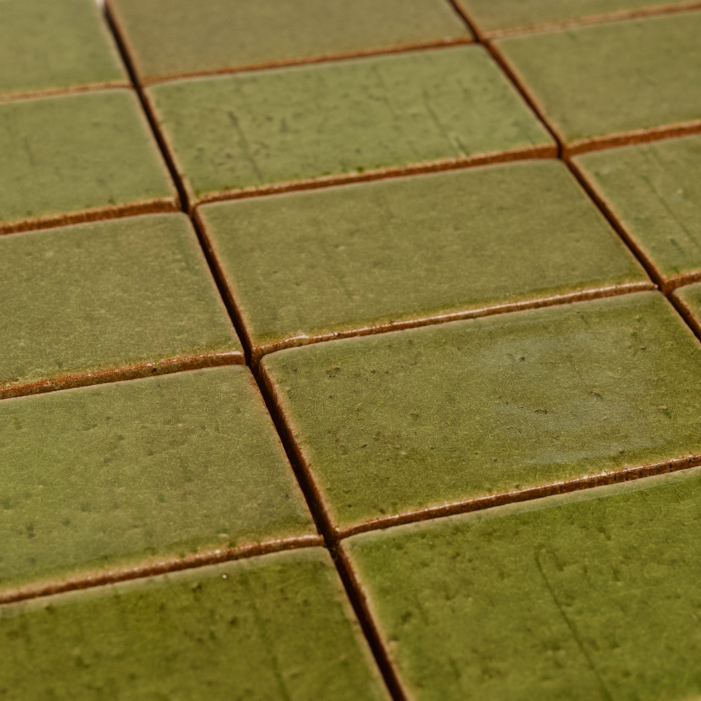 Cascadia Tree Moss Ceramic Tile