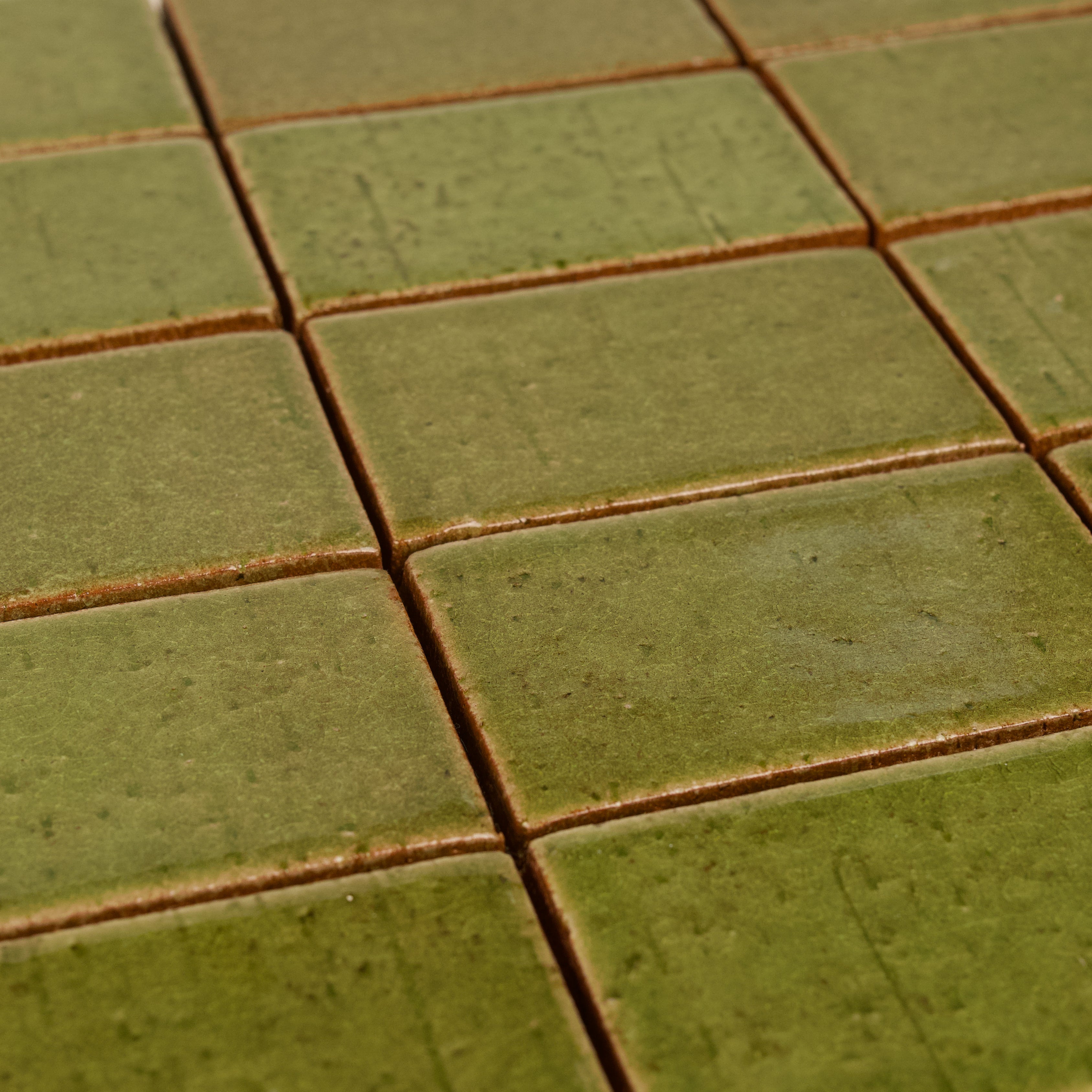 Cascadia Tree Moss Ceramic Tile