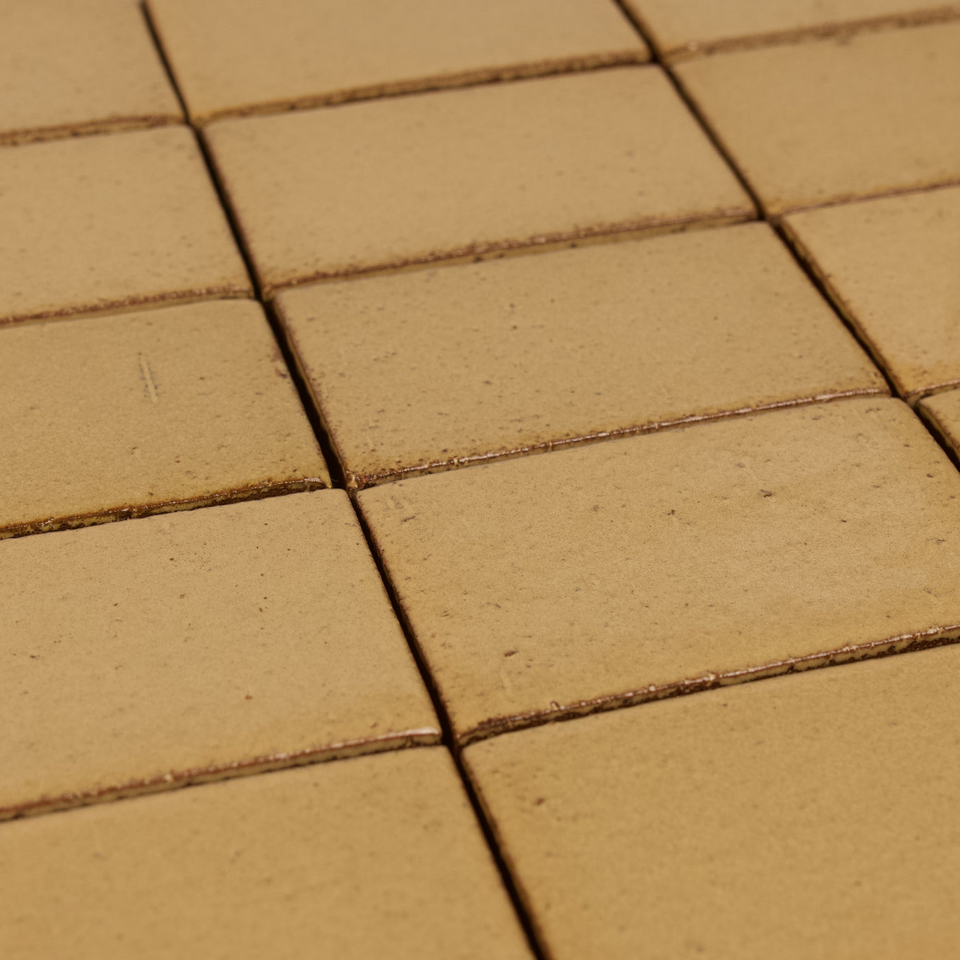 Cascadia Wheatberry Ceramic Tile